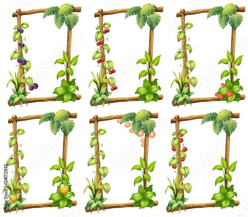 Plant templates