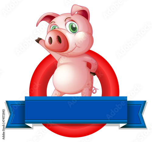 Pig
