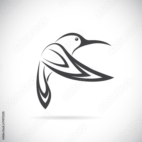 Vector image of an hummingbird design on white background
