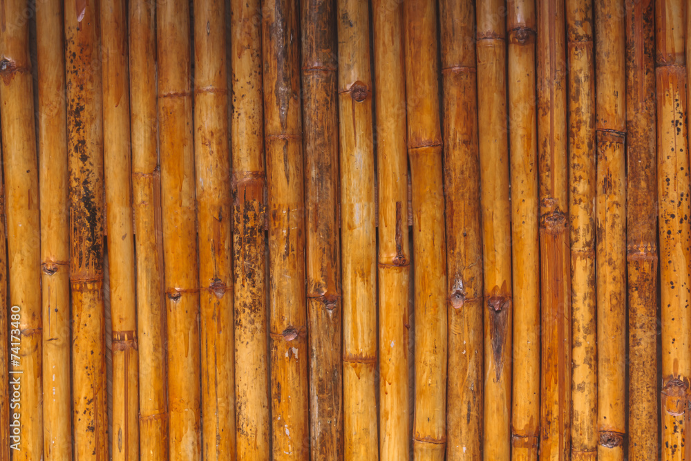 Bamboo background Bamboo background