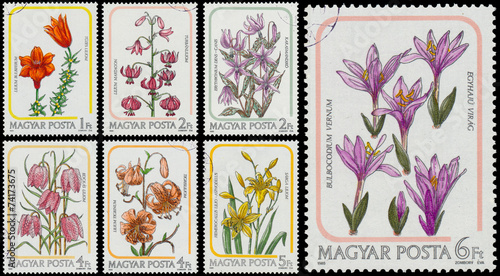Set of stamps printed in Hungary shows lilies