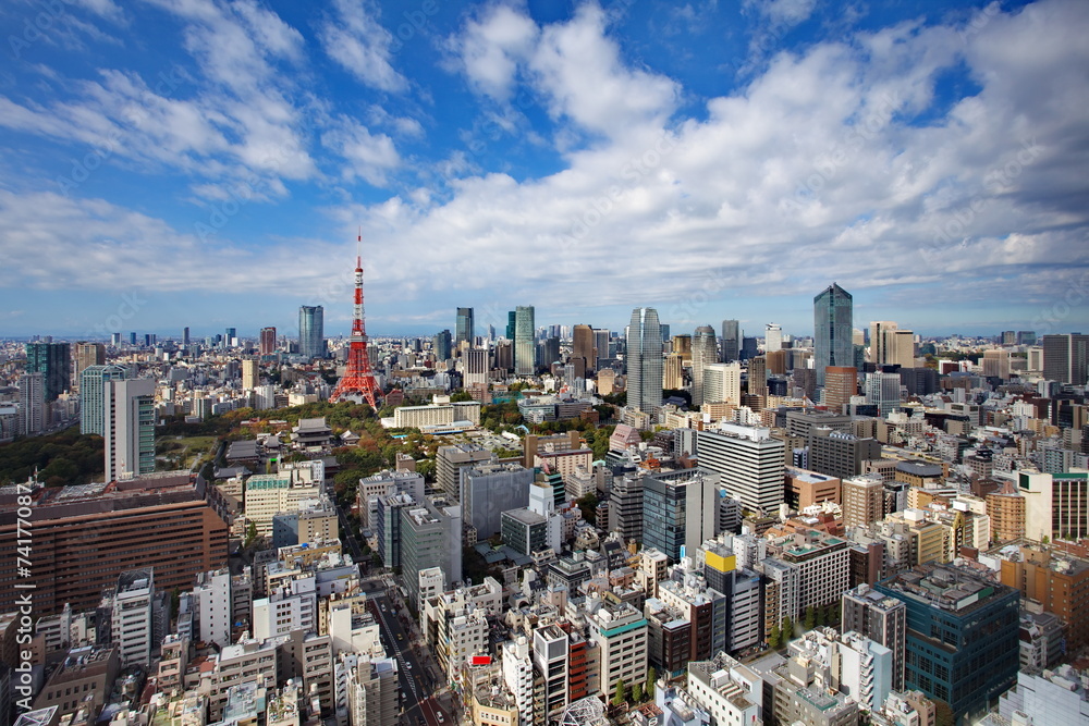 Obraz premium Tokyo city view and Tokyo landmark Tokyo sky tree before sunset