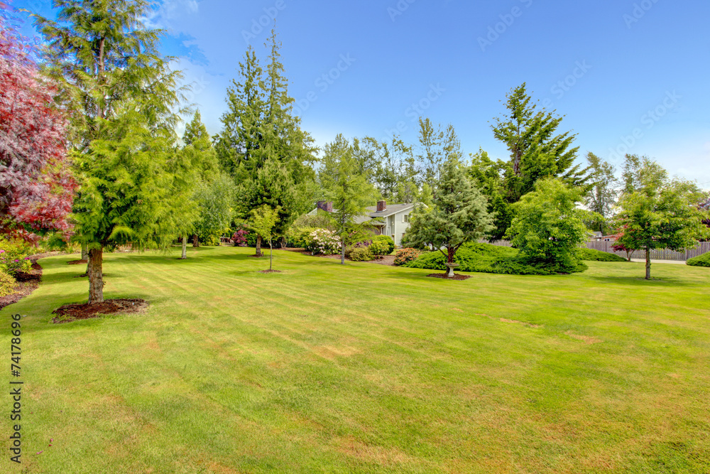 Naklejka premium Front yard landscape design