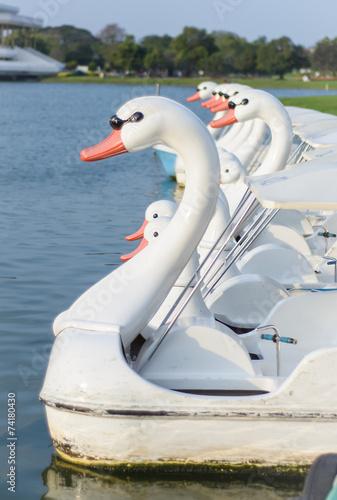 Swan Pedal boat