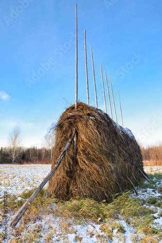 Hay in stack photo