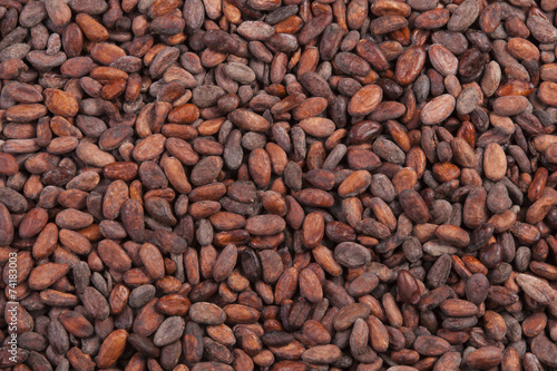 cocoa beans background