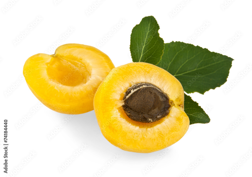 apricot apricot