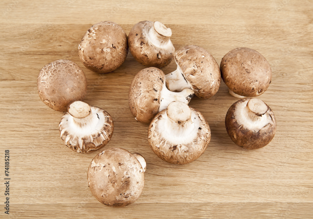 mushrooms mushrooms