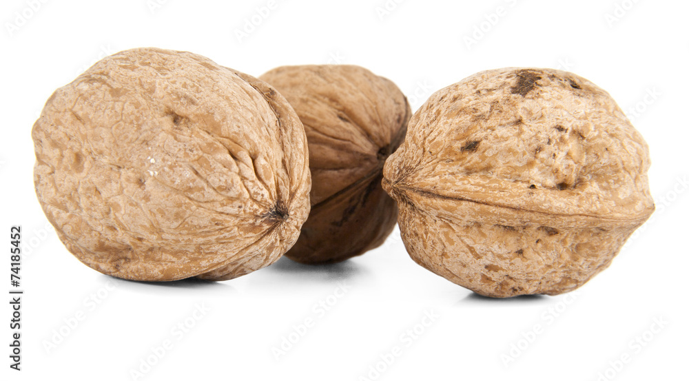 walnuts walnuts
