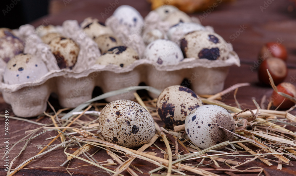 quail eggs quail eggs