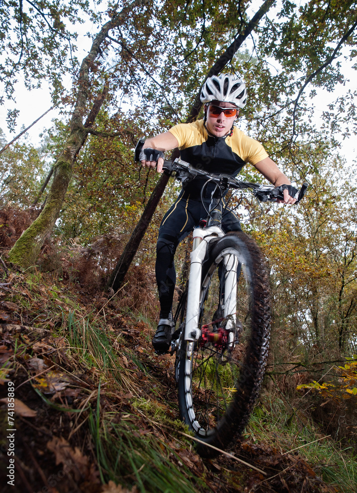 Naklejka premium Cyclist downhill