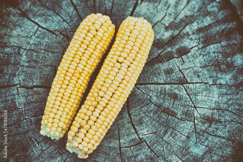 Corn cob