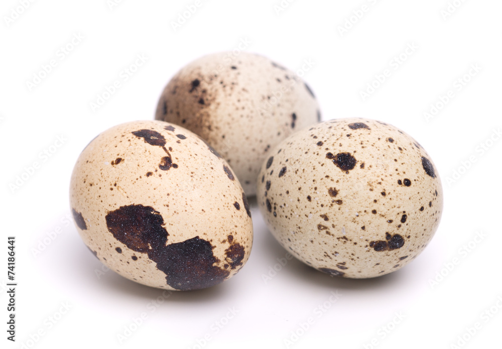 quail eggs quail eggs