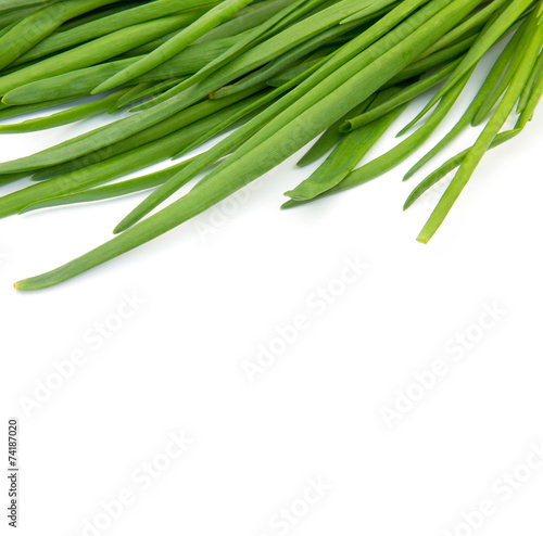 Green Onion