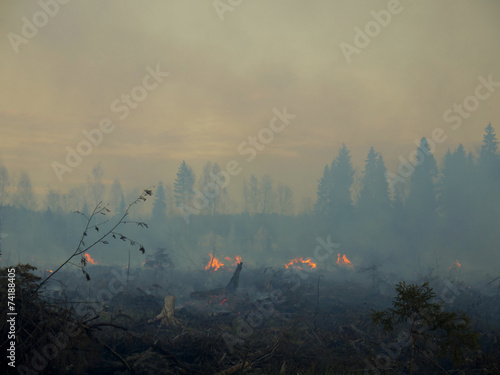 wildfire 004