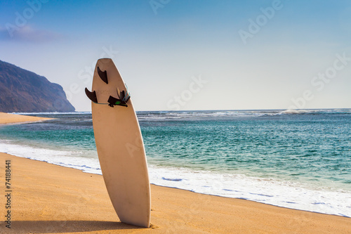 surfboard on the wild beach