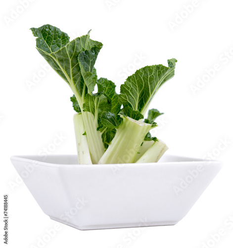 regrow bok choy technique in bowl isolated over white photo