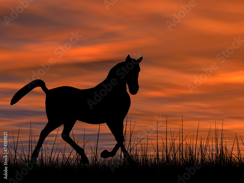 Horse silhouette in grass at sunset