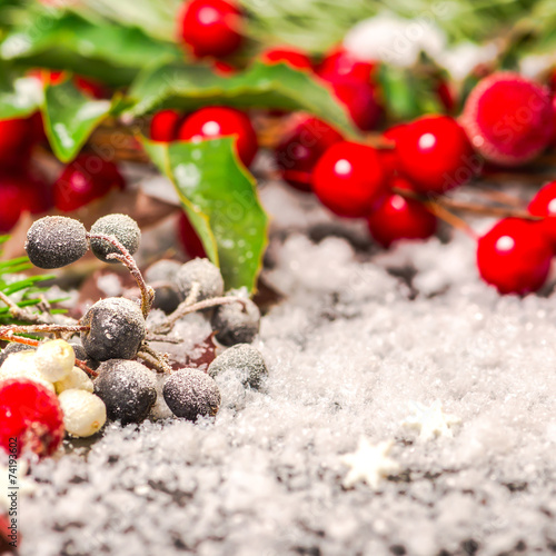 Christmas card of evergreen branches, red berry with snow, close