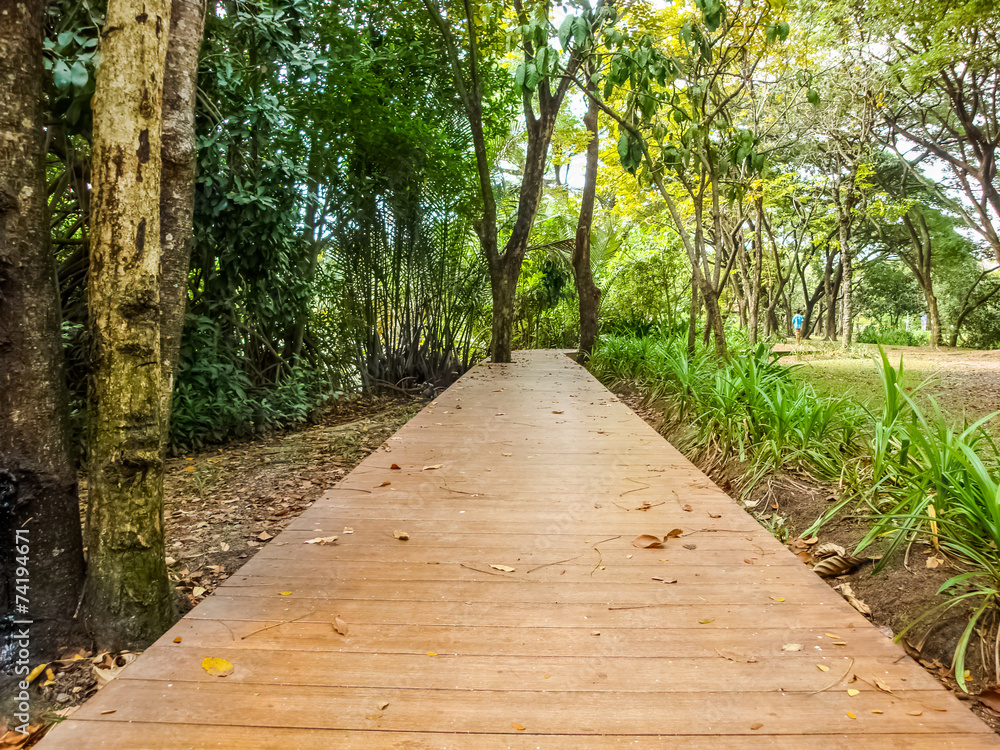 Wooden footpath in park Wooden footpath in park