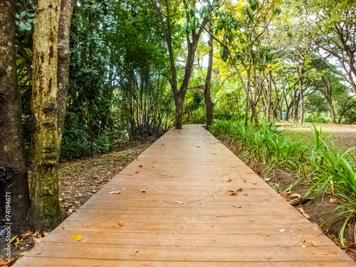 Wooden footpath in park