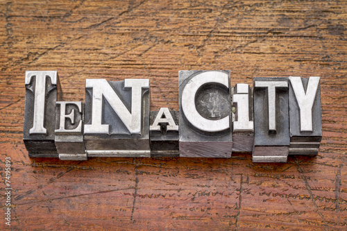 Quadro em tela tenacity word in  metal type