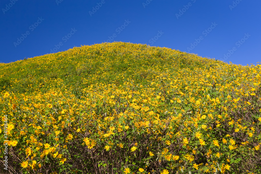 Obraz premium Flower