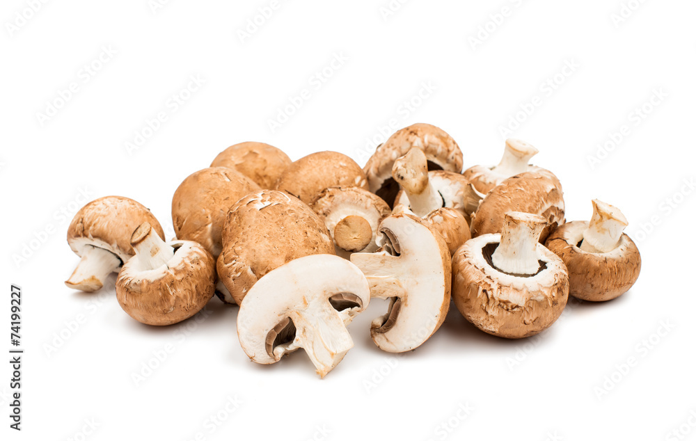 mushroom mushroom