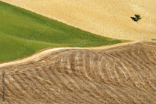 Areal view on Toscanian landscape