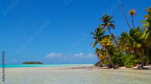 Fototapeta Naklejka Na Ścianę i Meble -  Plage du Lagon bleu à Tahiti en Polynésie.