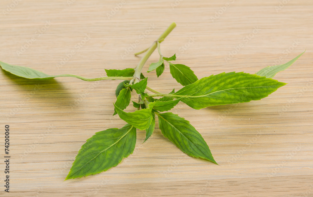 Bergamot leaves Bergamot leaves