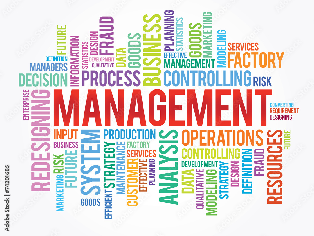 Word cloud of MANAGEMENT related items, vector background Word cloud of MANAGEMENT related items, vector background