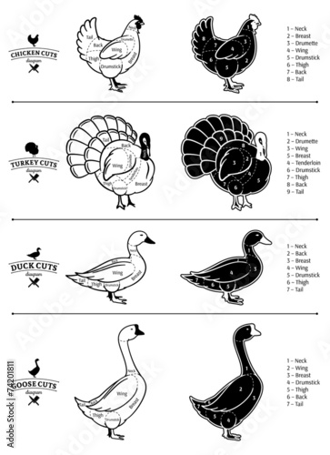 Poultry Cuts Diagrams