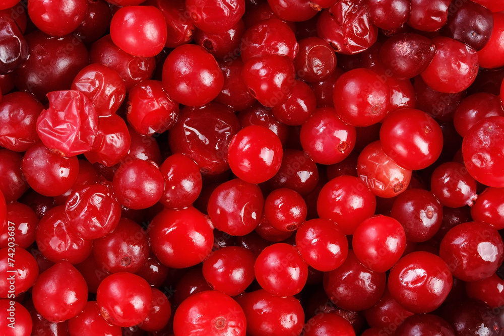 Lot of red fresh cranberries Lot of red fresh cranberries