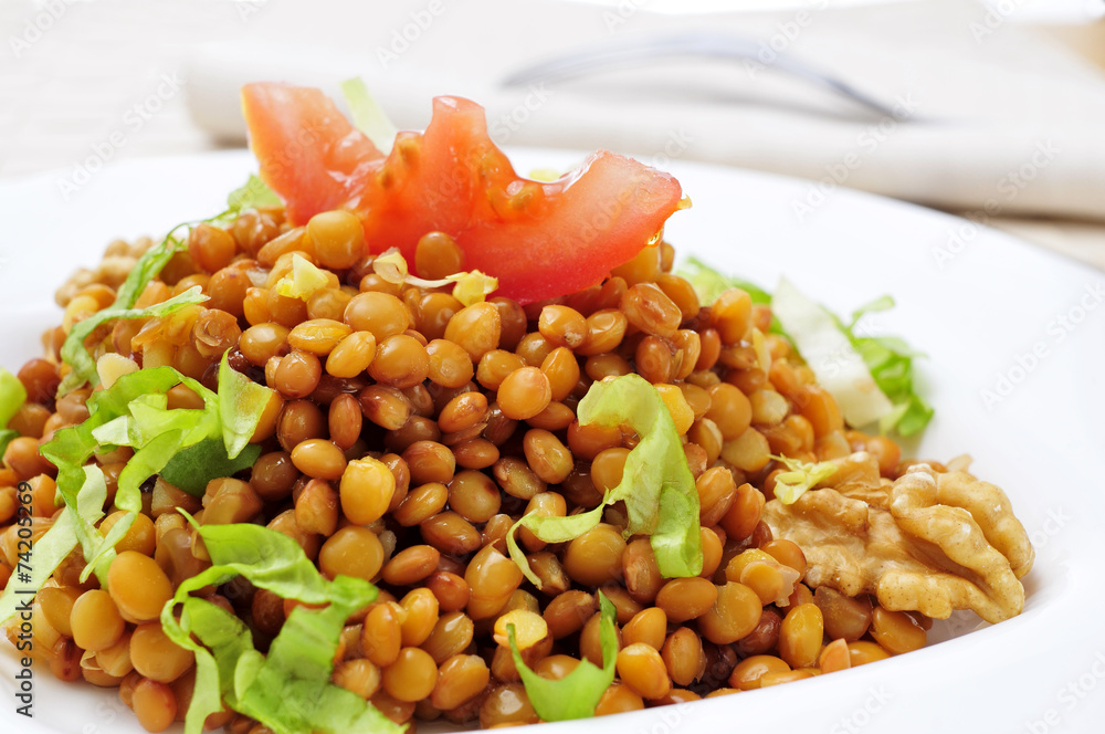 lentil salad lentil salad