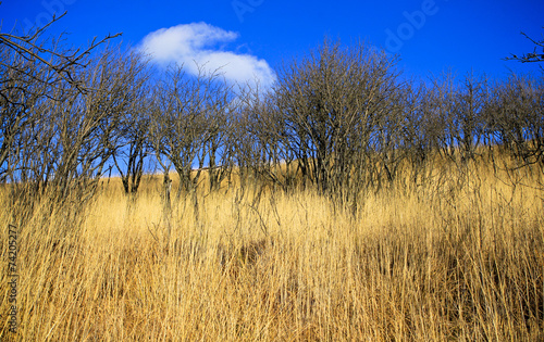 Fototapeta Naklejka Na Ścianę i Meble -  Bieszczady