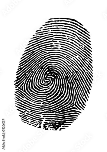 vector fingerprint