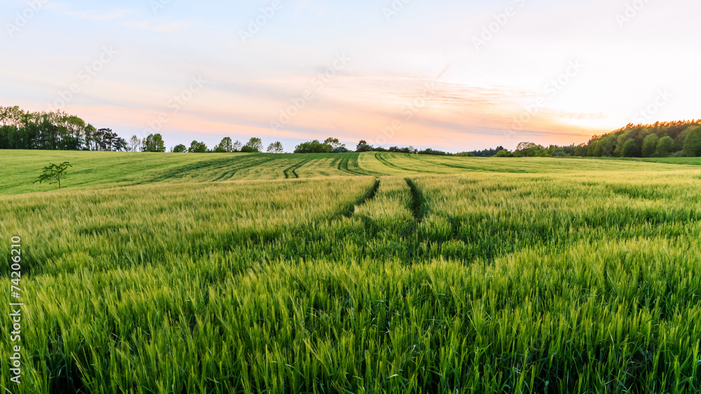 Lovely Rural Sunset Landscape