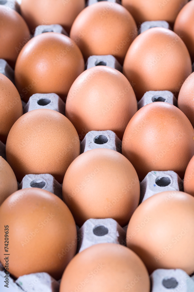 Eggs for cooking food Eggs for cooking food