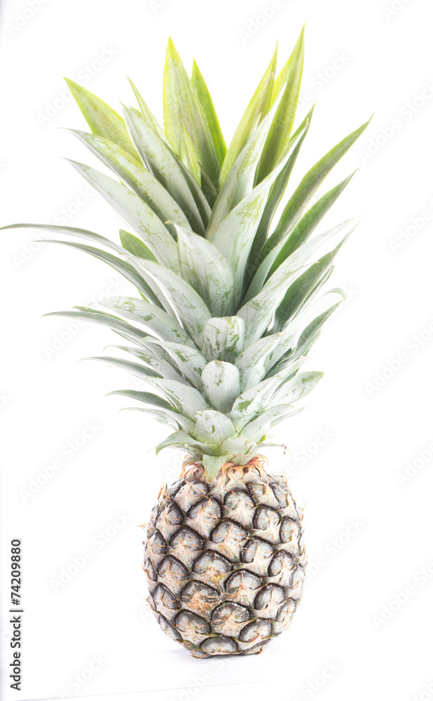 Pineapple ,Thai fruit isolated Pineapple ,Thai fruit isolated