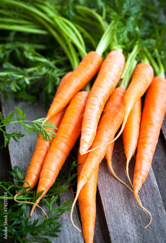 Fresh Organic Carrots