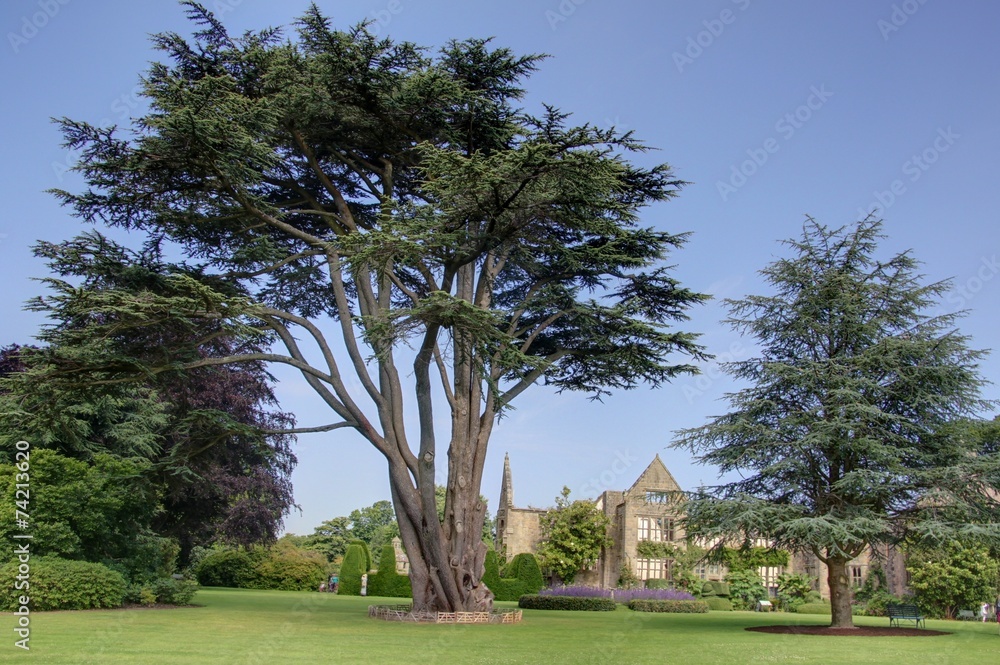 jardin anglais jardin anglais
