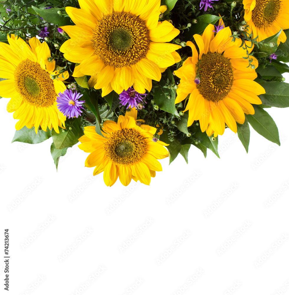 Obraz premium Sunflower bouquet background