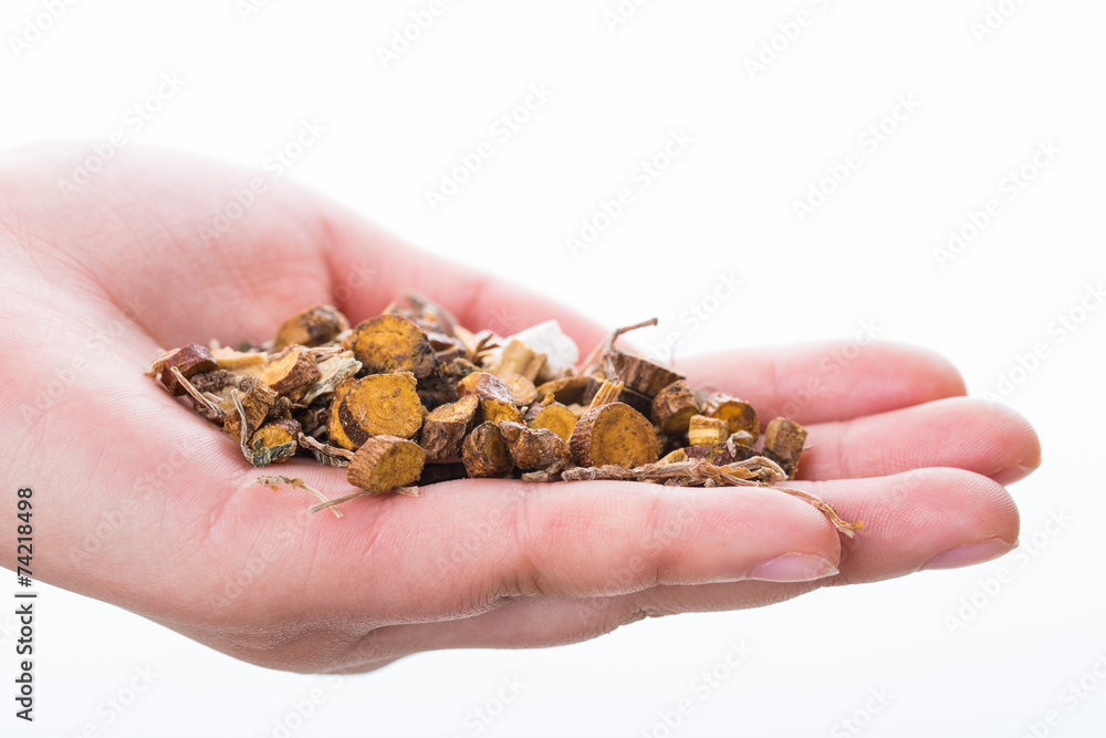 Fototapeta premium Holding Chinese traditional herbal.