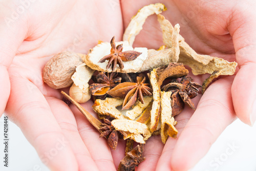 Holding Chinese traditional herbal. photo