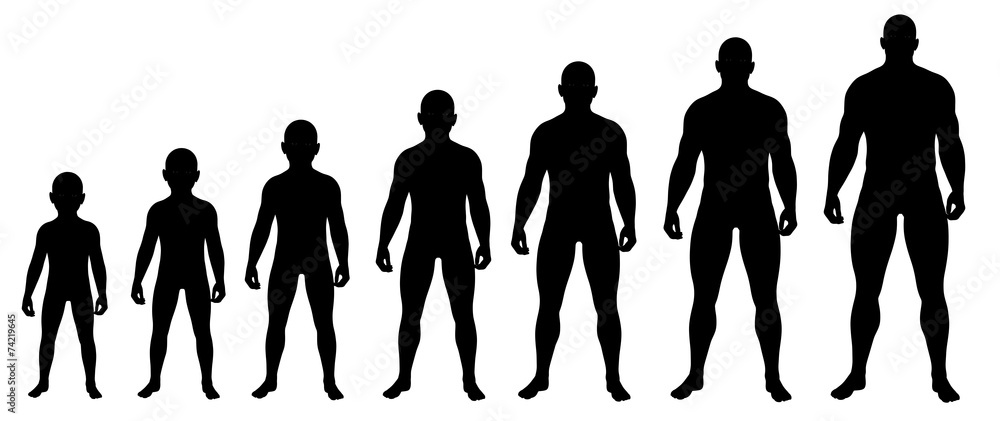 Boy growing up to Man silhouettes Stock Illustration