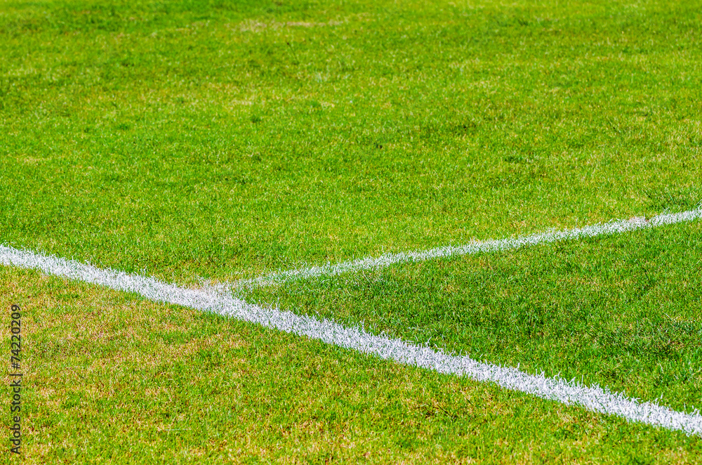 Green soccer field with white line