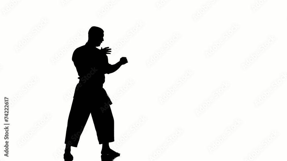 Silhouette of a karate man exercising against white background Silhouette of a karate man exercising against white background