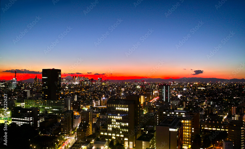 Obraz premium 新宿副都心の夜景