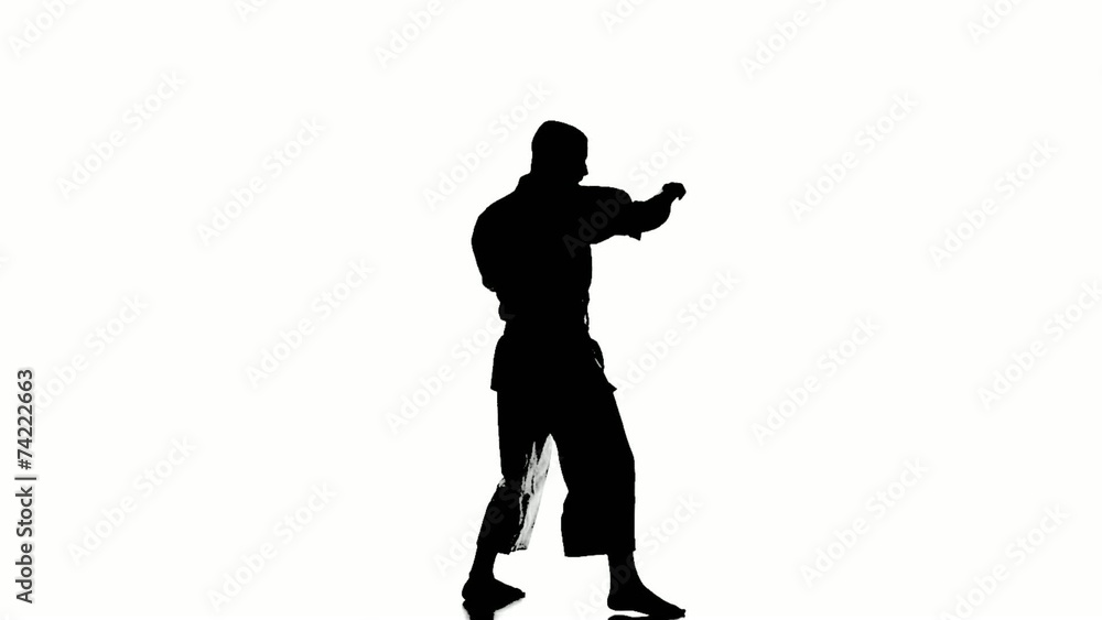 Silhouette of a karate man exercising against white background. Silhouette of a karate man exercising against white background.